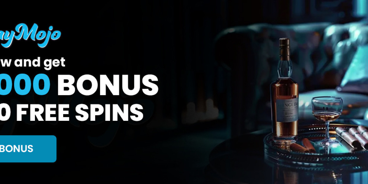 Playmojo’s 2026 Snapshot: Canada’s Daily Jackpot Highlights