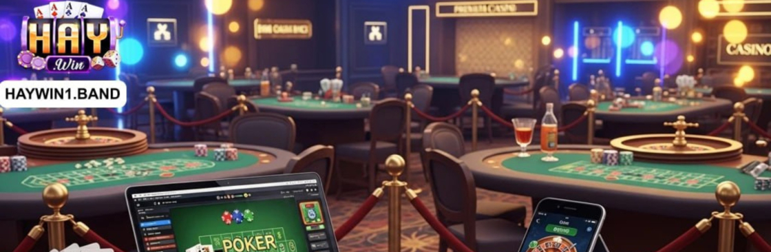 HAYWIN band Cover Image