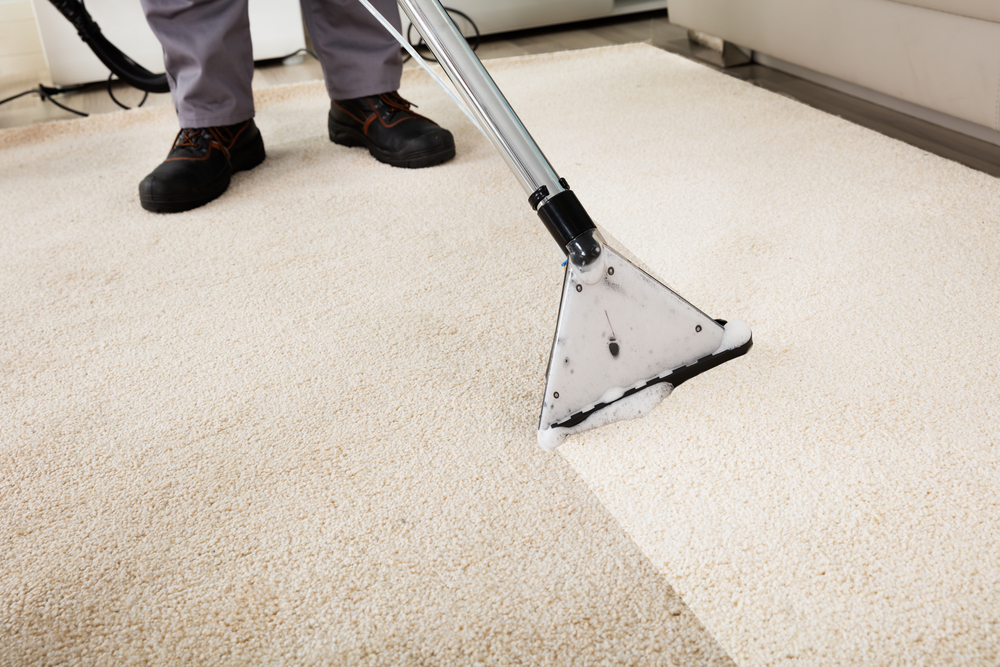 Rug Cleaning in Clapham | Best Rug Cleaning Clapham