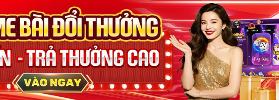 Gamebaii cncom Cover Image