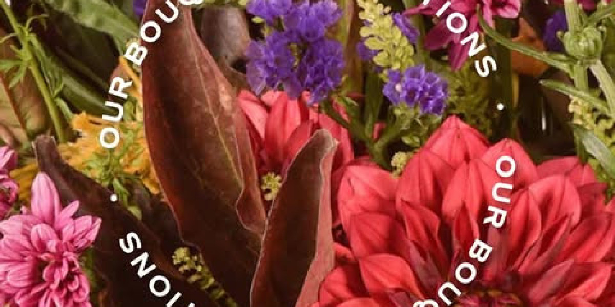 What Are the Top 5 Houseplants That Can Purify the Air?