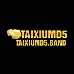 taixiumd5 band Profile Picture