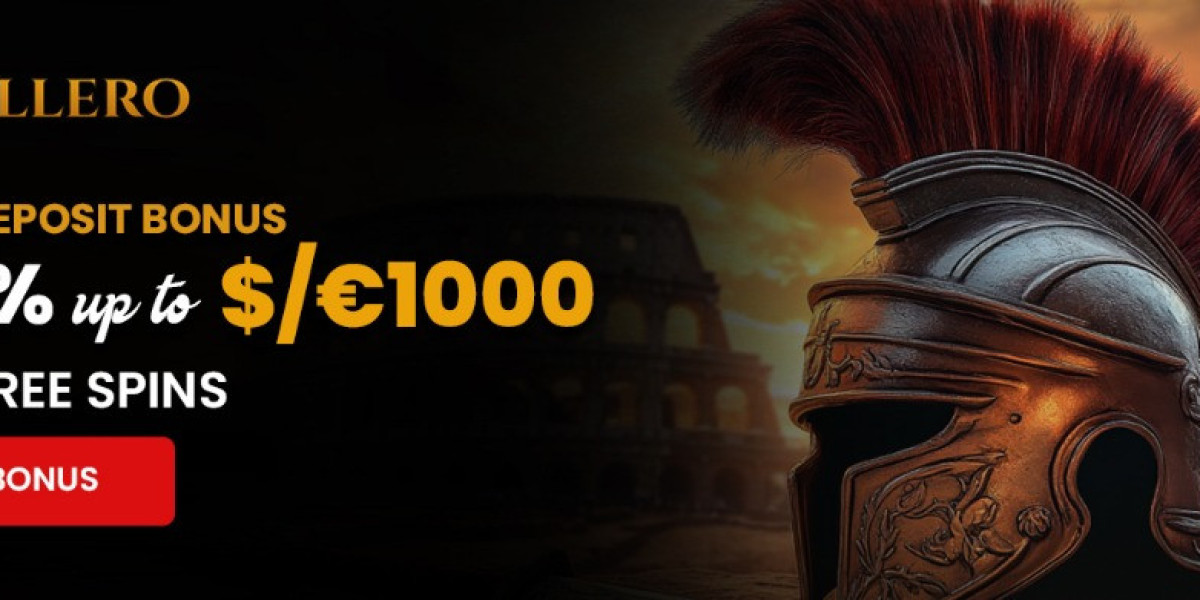 Rollero Insights: How Canadians Approach Reliable Digital Experiences