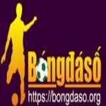 Bongdaso Org Profile Picture