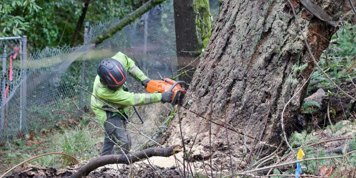 Fast & Reliable Emergency Tree Removal Services | Protect Your Property Today