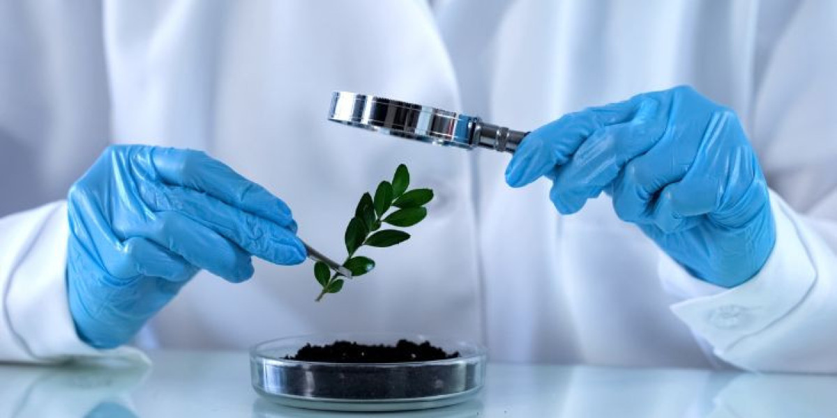 India Agrochemicals Market Growth and Forecast (2026-2035)