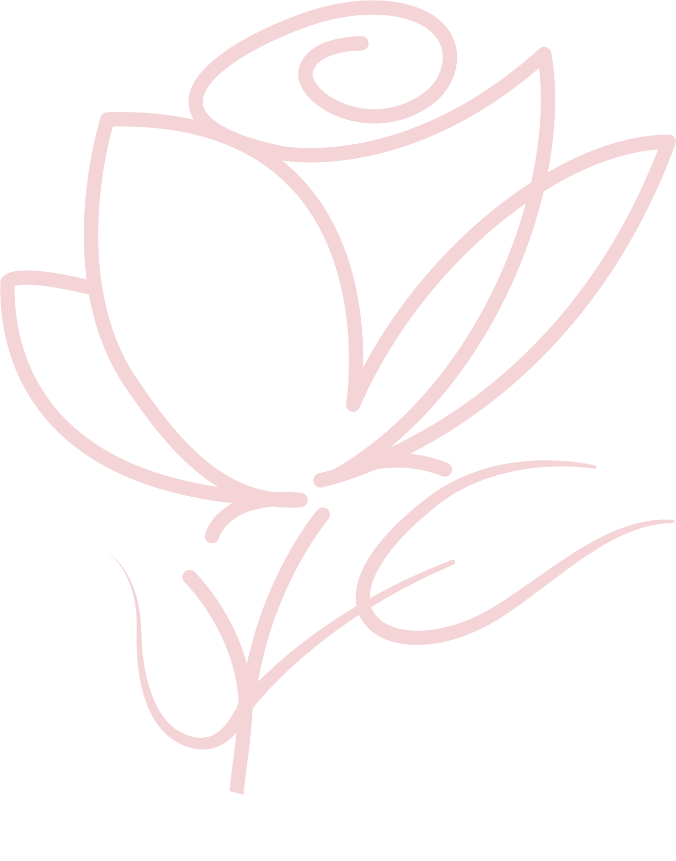 Spray Tanning Salon in Cranston, RI | Rapid Spray Tan Services at Beaudee Salon