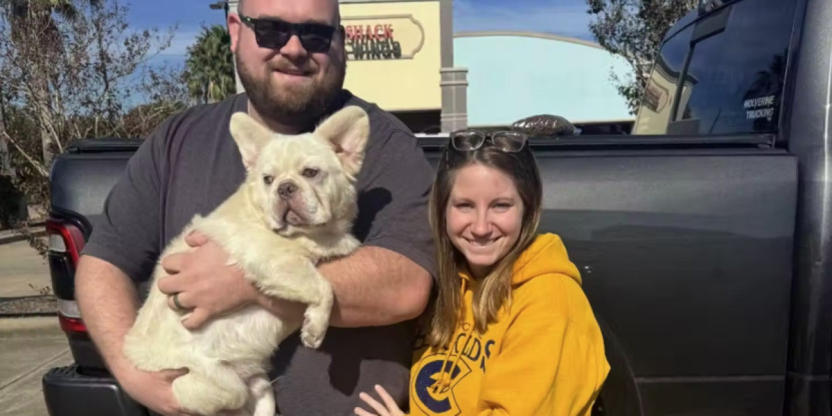 Practical Guide To French Bulldog Rescue And Adoption For Caring Owners