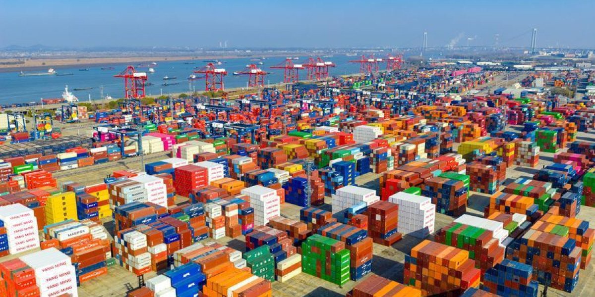 China’s BRI Enterprise and Its Impact on Global Cooperation