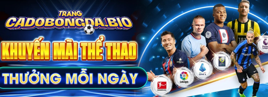 Trangcadobongda bio Cover Image