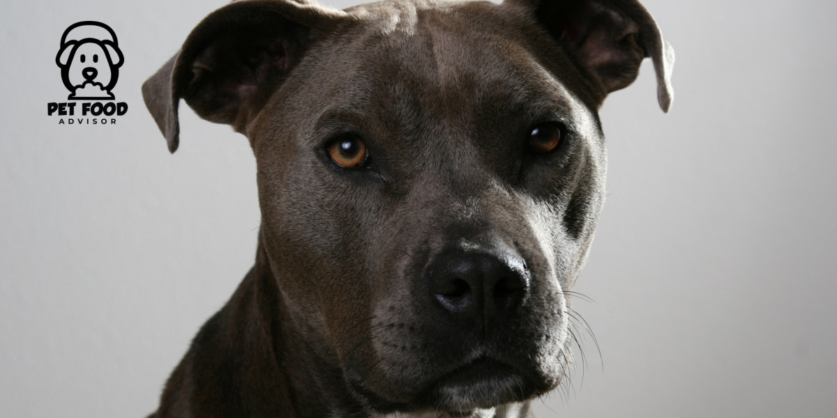 Healthy and Strong Pitbulls Start with the Right Dog Food