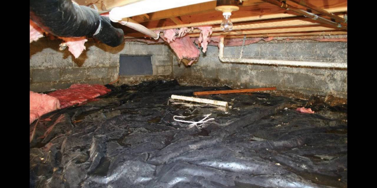 Does Crawl Space Mold Remediation Work For Every Type Of Home?
