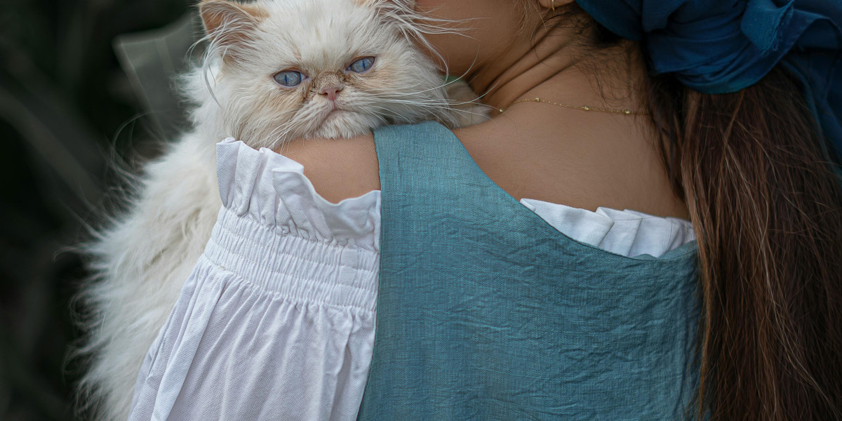 eznpc Where Necrozma and Probopass Make Genesect Hit Hard