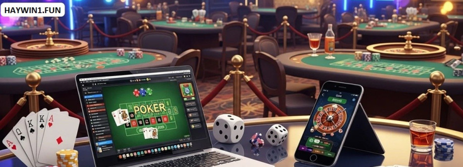 HAYWIN Fun Cover Image