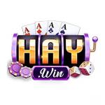 Haywin Casino Online Đa Dạng Profile Picture