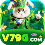 V79G Profile Picture