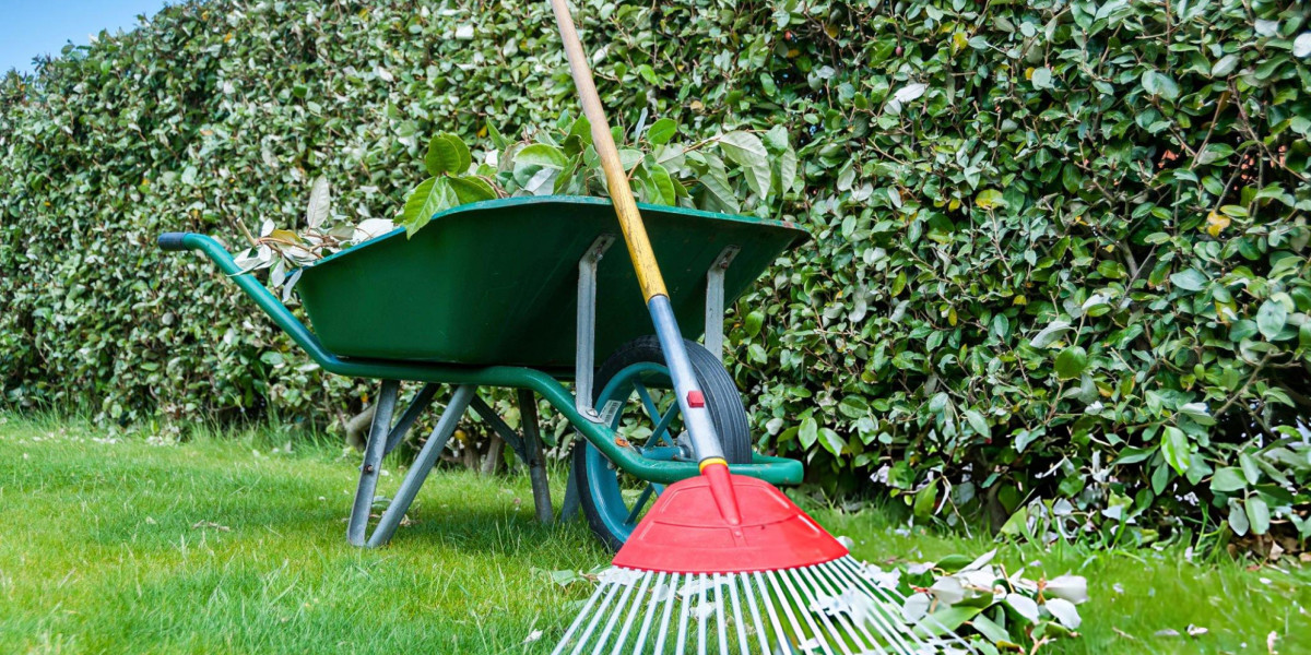 How Professional Landscaping Services in DFW Improve Commercial Property Value?