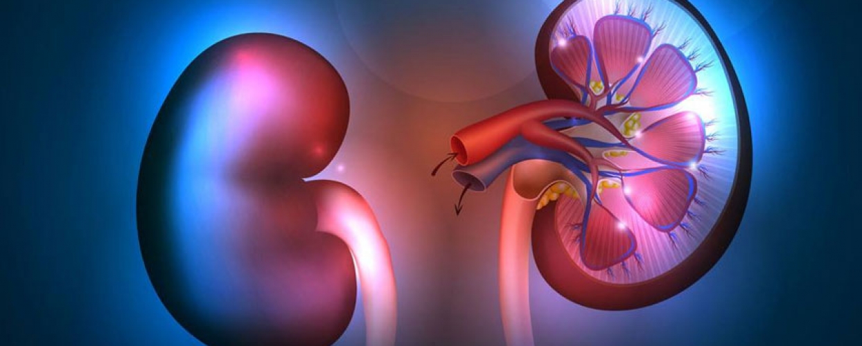 Iron sucrose complex api manufacturer and supplier from India