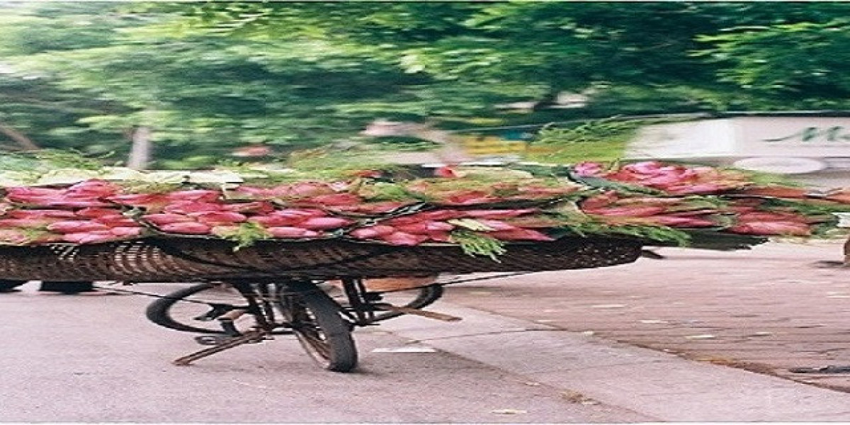 Transforming Spaces with Elegance and Scented Sophistication