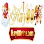 HAY88 VINA Profile Picture