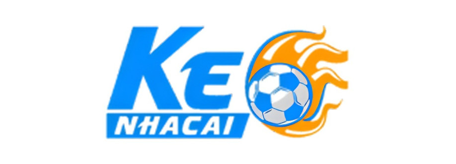 Soikeonhacai fit Cover Image