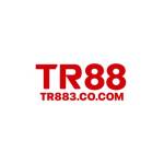 TR88 Profile Picture
