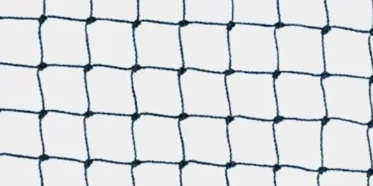 Reliable Pest Management Solutions for London’s Commercial Properties