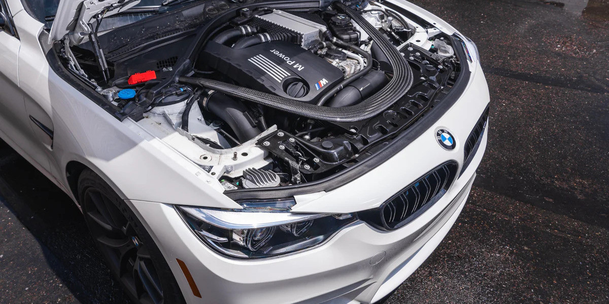 S55 Engine Rebuild & Performance Guide