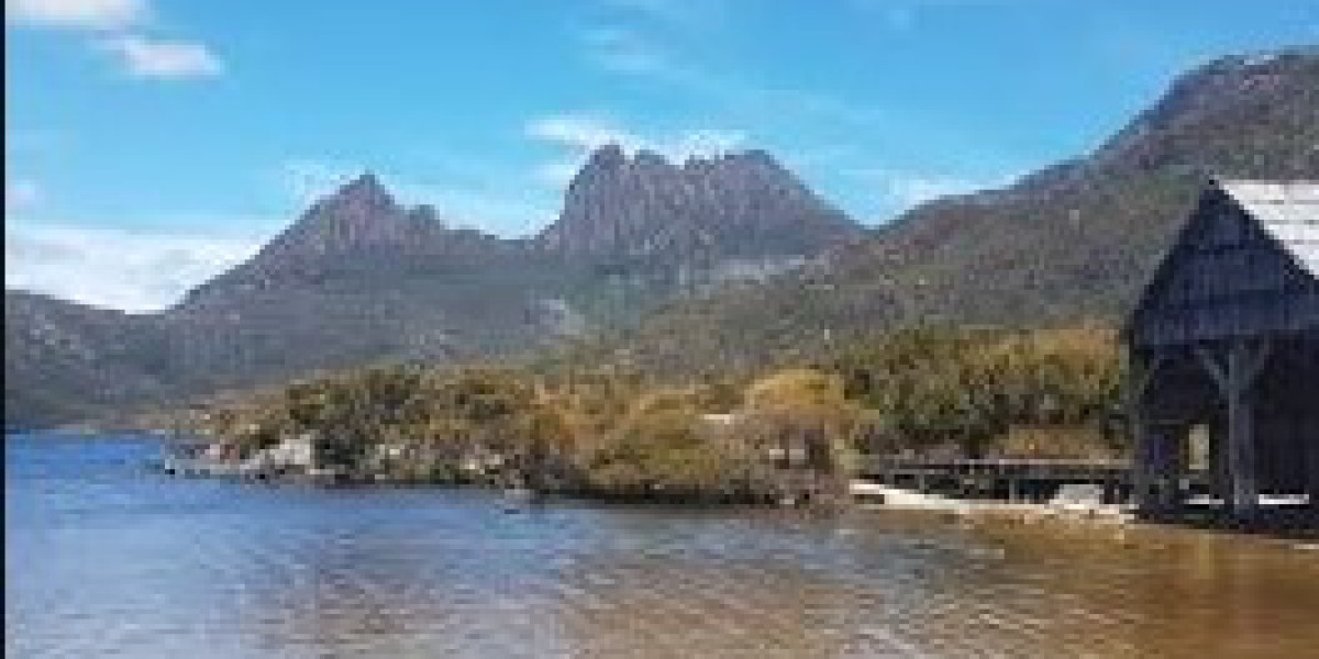 Tours from Hobart Tasmania: Discover the Wild with Wild Tasmania Tours