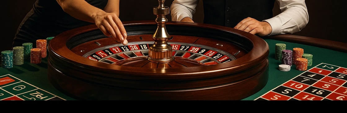 My Laser247 Pro Cover Image