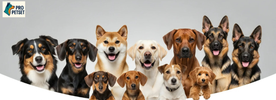 Pro Petset Cover Image