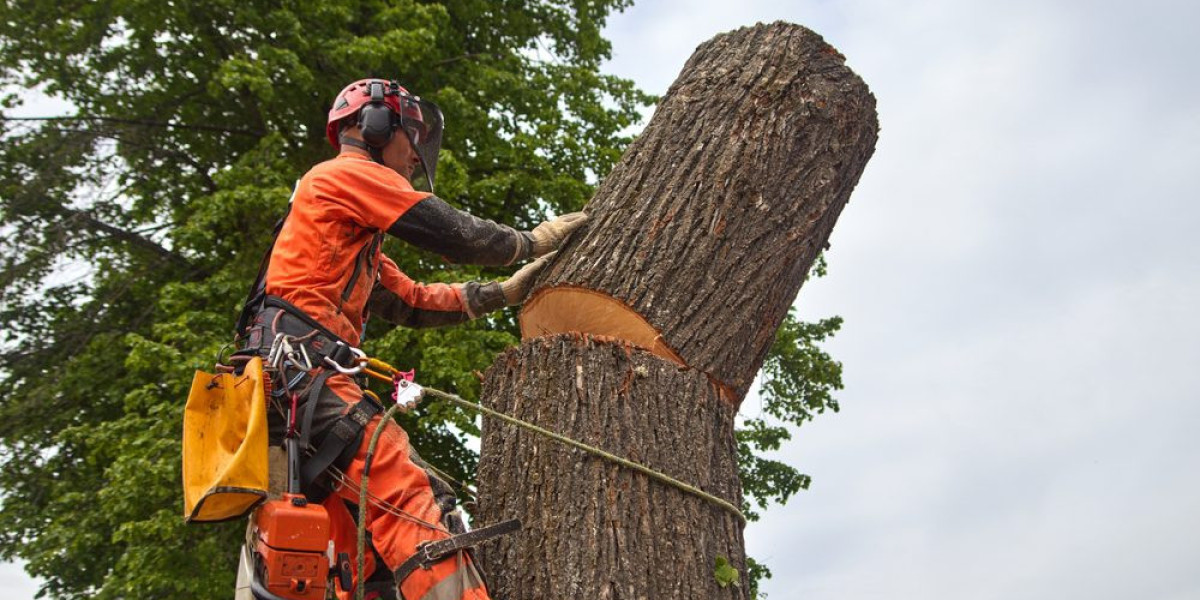 Healthy Trees, Safer Spaces – Expert Tree Trimming & Removal Services
