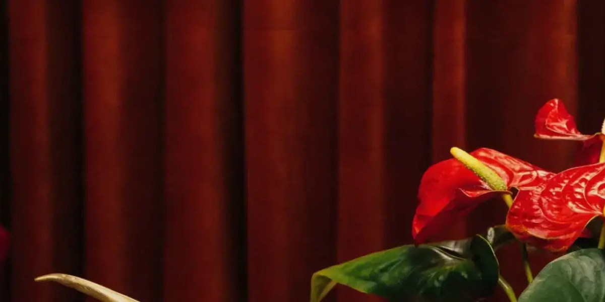 Drole De Monsieur: Everyday Fashion With Elevated Comfort