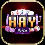 Haywin1 today Profile Picture