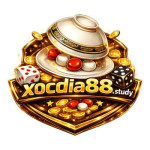 Xocdia88 study Profile Picture
