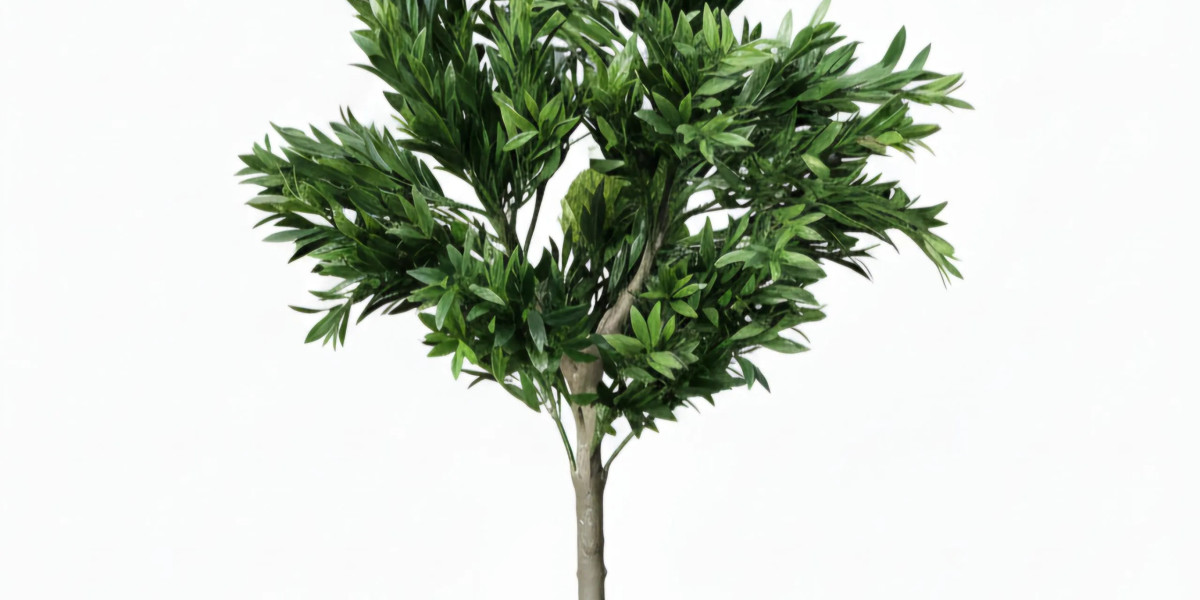 Why a Faux Olive Tree Beats the Real Thing Every Time