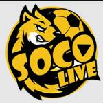 SOCOLIVE Profile Picture