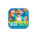 xb365 Profile Picture