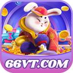 66VT Profile Picture