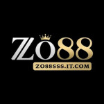 ZO88 SSSIT Profile Picture
