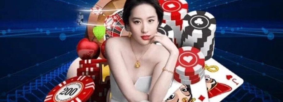 VSVAP DE Cover Image