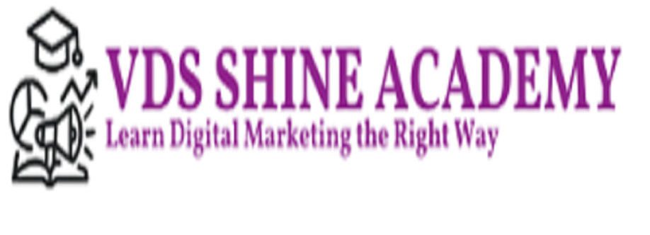 VDS SHINE ACADEMY Cover Image