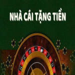 nhacaitangtienaeorg Profile Picture