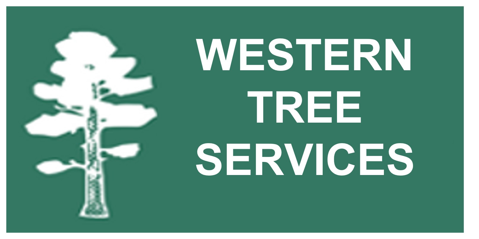 Tree Service North Vancouver | Expert Western Tree Services