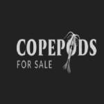 copepodsforsale1 Profile Picture