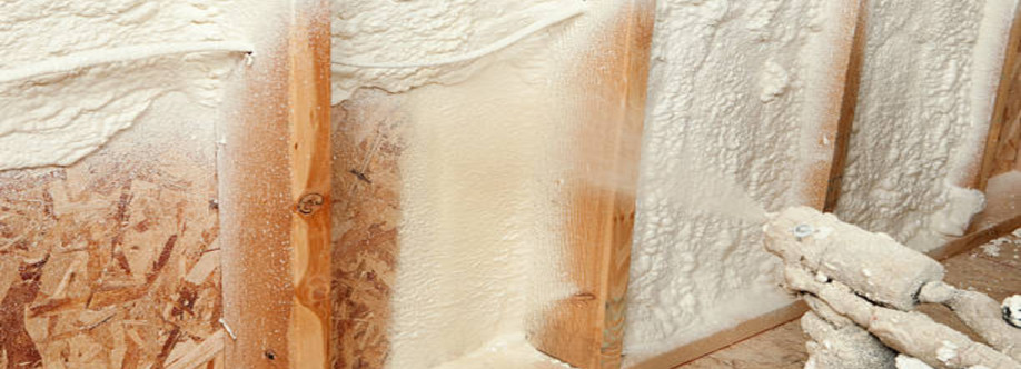 Premier Insulation GA Cover Image