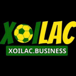 XOILAC TV business Profile Picture