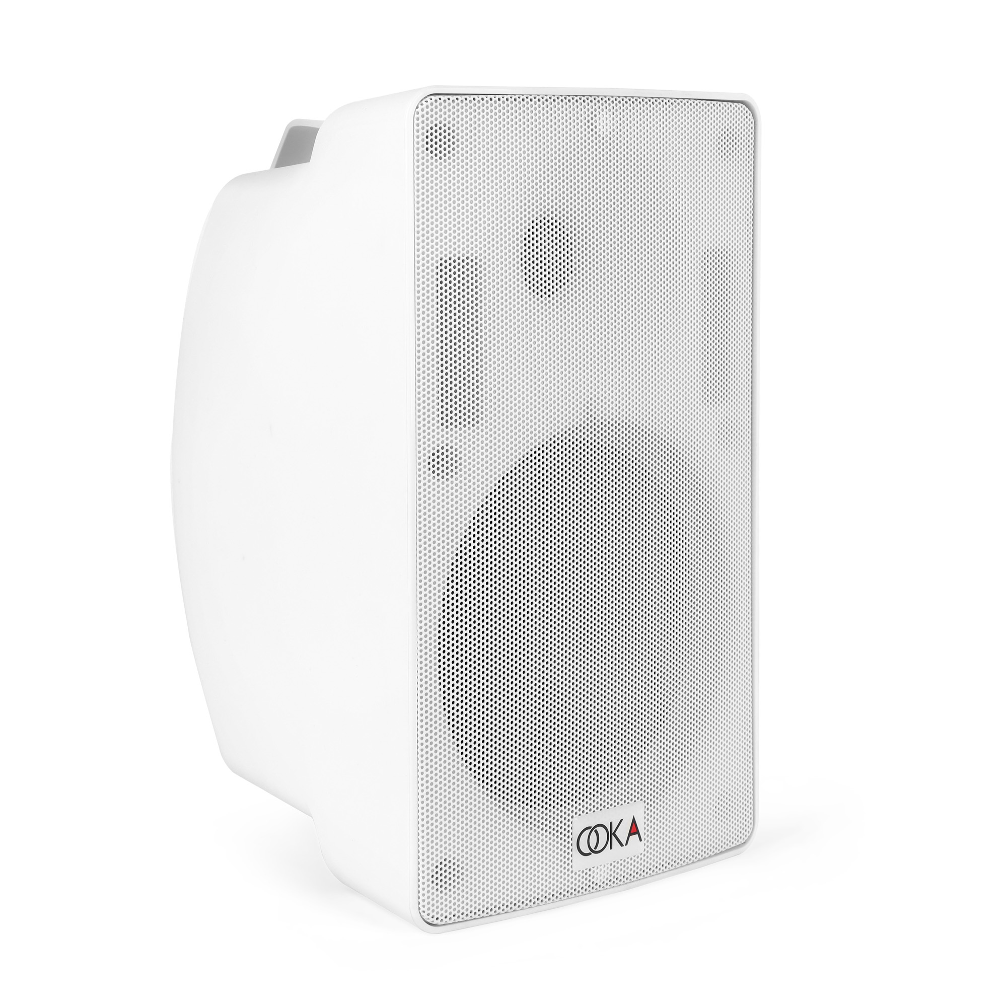 All-weather Wall-mount Speaker ( WS-i60w )