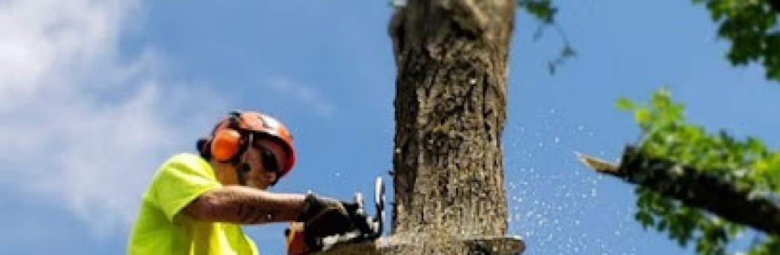 Alpha Arborcare LLC Cover Image