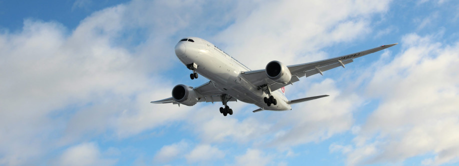 Henrik John Cover Image